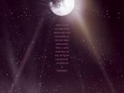 콘서트_워너원