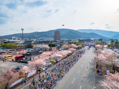 제28회 경주벚꽃마라톤대회 개최