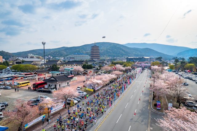 제28회 경주벚꽃마라톤대회 개최
