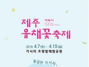 제주 유채꽃 축제 ‘꽃길만 가시리’