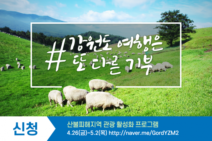 강원 산불피해 극복 봄 여행주간 프로그램 마련