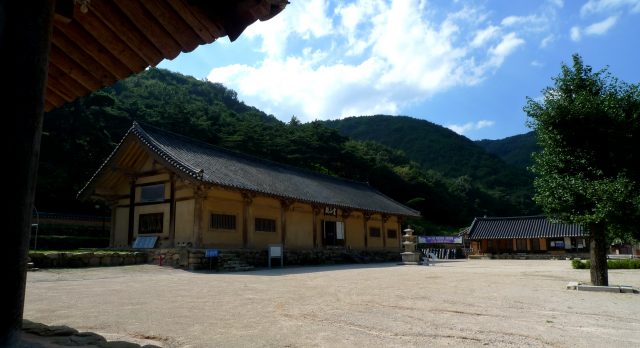 영천으로 전통사찰 여행 떠나자
