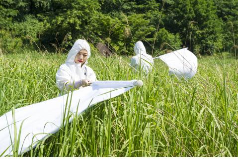 서울시, 주요 공원 진드기 채집 조사