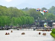 담양 대나무축제, 문화관광축제 선정