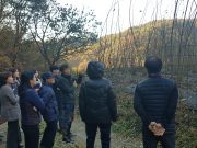 전주시, 전주산 닥나무 수매 ‘고품질 전통한지 생산’