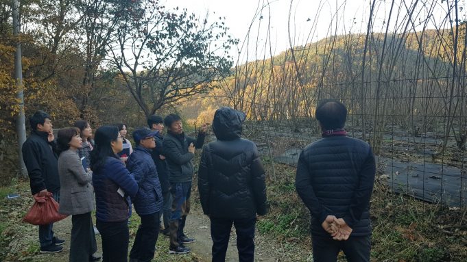 전주시, 전주산 닥나무 수매 ‘고품질 전통한지 생산’
