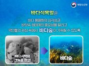 제12회 바다식목일 기념행사, 경북 최초로 ‘포항’에서 열린다