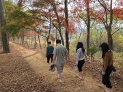 보성군, ‘내 맘에 쏙 드는 주민생활권 도시 숲’과 ‘맨발로’ 조성