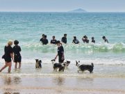 태안군 방문객 1809만 명 ‘역대 최다’…2000만 시대 도전