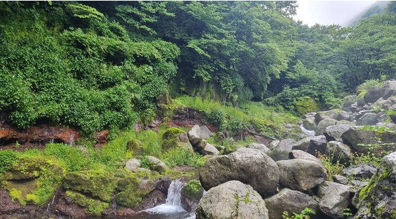 「한라산 어리목계곡 화산암층과 용천수」 천연기념물 지정 예고