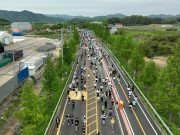 보성 메타세쿼이아 길 달린다…5월 2일 보성녹차마라톤