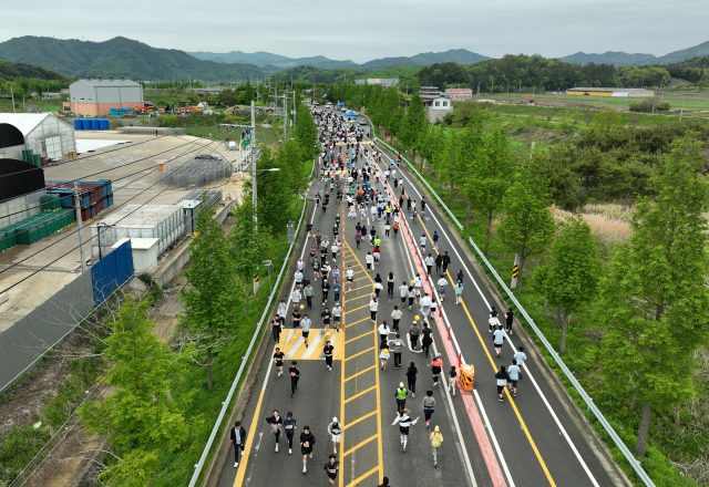보성 메타세쿼이아 길 달린다…5월 2일 보성녹차마라톤