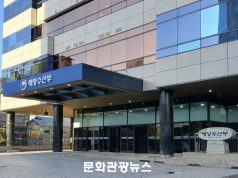설 귀성·귀경길 연안여객선 이용객 급증 예상