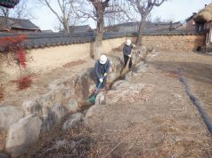 경북북부문화유산돌봄센터, 2026년 북부권 문화유산 상시 관리 추진