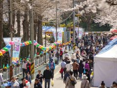 유달산 봄꽃 속으로…목포 ‘유달산 봄축제’ 4월 개최