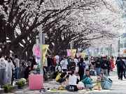 밀양강 따라 예술 흐른다…거리전 첫 주말부터 발길 이어져