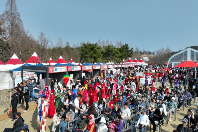 논산딸기축제 개막…달콤한 향기 속 4일간 축제 시작