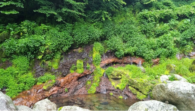 한라산 어리목계곡 용천지대 천연기념물 지정