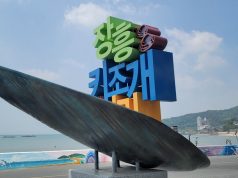 수문항에 번진 바다 향기…장흥 키조개축제 5일간 미식 향연