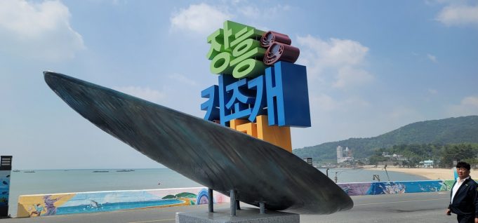 수문항에 번진 바다 향기…장흥 키조개축제 5일간 미식 향연