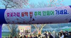 장흥 남상천 벚꽃길 물든 봄…주민 참여 속 문화제 성황