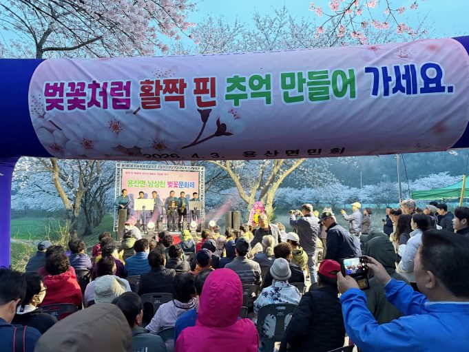 장흥 남상천 벚꽃길 물든 봄…주민 참여 속 문화제 성황