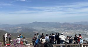 밀양 종남산 진달래축제 성황…봄빛 물든 산자락에 인파 북적