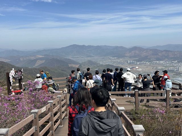 밀양 종남산 진달래축제 성황…봄빛 물든 산자락에 인파 북적