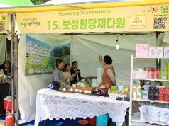 차밭 위에 퍼진 말차 향…보성다향대축제 황금연휴 첫날 북적