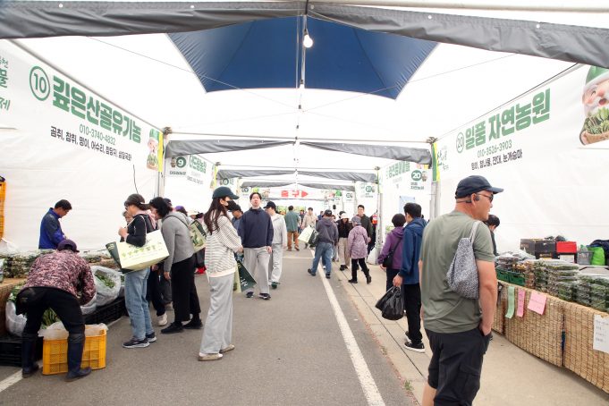 토리숲 가득 채운 산나물 향…홍천 산나물축제 개막