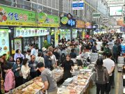 정선아리랑시장 처마 밑에 찾아온 봄손님…제비가 전한 ‘정선의 인심’