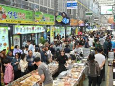 정선아리랑시장 처마 밑에 찾아온 봄손님…제비가 전한 ‘정선의 인심’