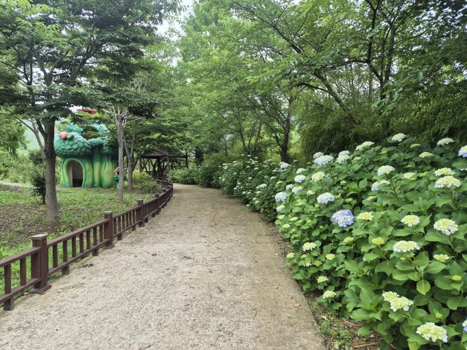 형형색색 수국 물결 펼쳐진다… 함평자연생태공원, 여름 꽃길 손님맞이