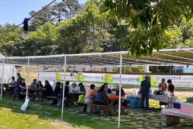말과 식물, 자연이 건네는 위로… 논산서 치유농업박람회 열린다