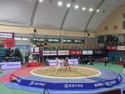 전국 장사들 문경 집결… ‘문경오미자장사씨름대회’ 30일 개막