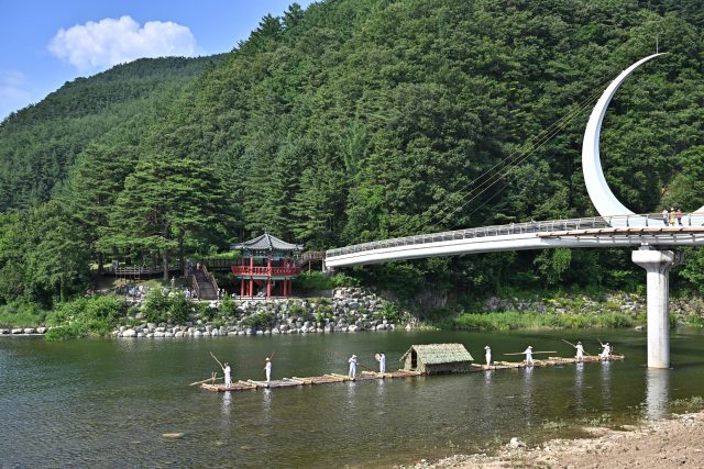 아우라지 물들이는 황금빛 달맞이꽃… 정선, 새로운 관광명소 조성 나선다