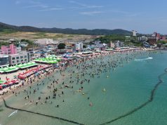 포항 해수욕장 8곳 11일 일제 개장…44일간 여름 피서객 맞이