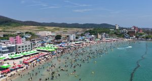 포항 해수욕장 8곳 11일 일제 개장…44일간 여름 피서객 맞이