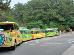 태종대 수국 물결 속으로…부산 대표 여름축제 9일 화려한 개막