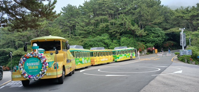 태종대 수국 물결 속으로…부산 대표 여름축제 9일 화려한 개막