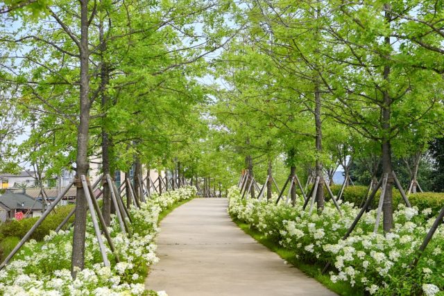 원주 치악산 바람길숲, 밤에도 걷기 좋은 명소로…야간경관 새 단장