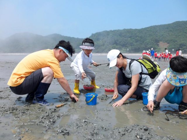 해수부 추천 7월 바다 여행, 바다가 가장 풍성해지는 계절