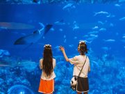 홍콩관광청, 여름 가족여행 프로모션…어린이 혜택 담은 ‘2+1’ 이벤트