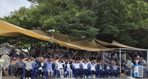 에메랄드빛 바다서 펼쳐진 캣피플의 축제… 통영 용호도 ‘고양이섬의 날’ 성료