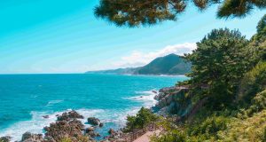 파도 소리·호수 바람에 실려온 가을… 경북 산책길 3곳 걷기 열풍