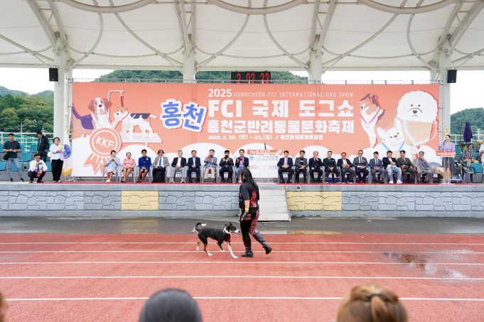 홍천서 국제 도그쇼 열린다…680두 참가해 실력 겨뤄