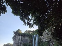 테마기행 l 3박4일 제주도 여름여행