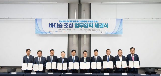 기업·공공기관 손잡고 제주·통영에 3.15㎢ 바다숲 조성